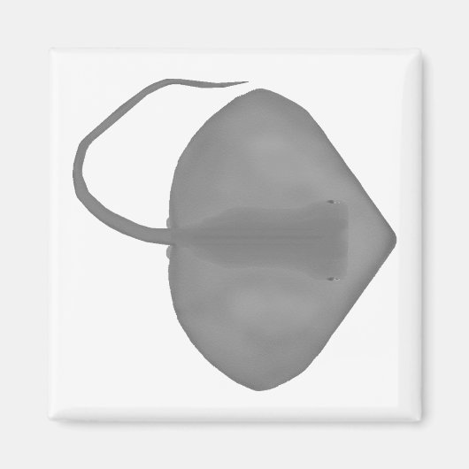 Ganges Stingray Magnet (Vorne)