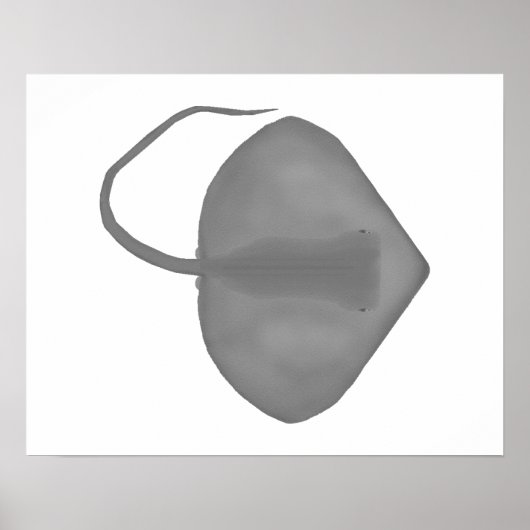 Ganges Stingray Poster (Vorne)