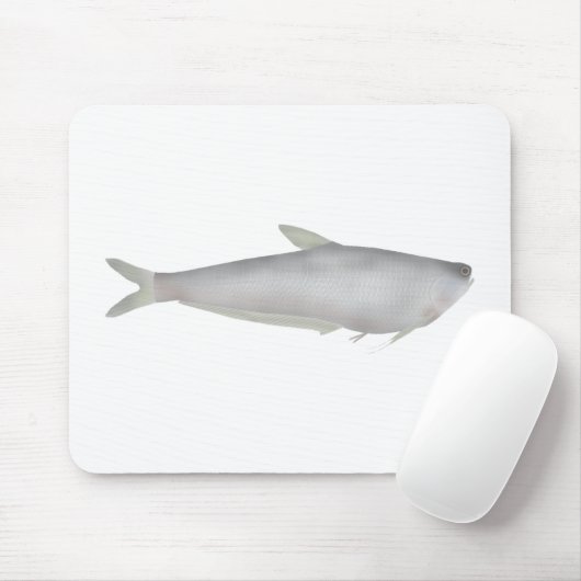 Gangetic Hairfin Anchovy  Mousepad (Mit Mouse)
