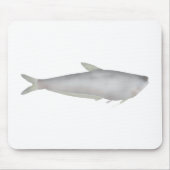 Gangetic Hairfin Anchovy  Mousepad (Vorne)