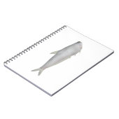 Gangetic Hairfin Anchovy Notizblock (Linke Seite)