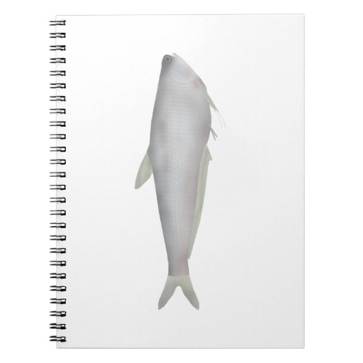 Gangetic Hairfin Anchovy Notizblock (Vorderseite)