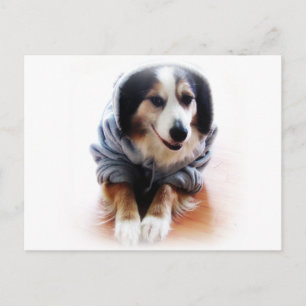 Gangsta Dog Wearing Hoodie Postkarte