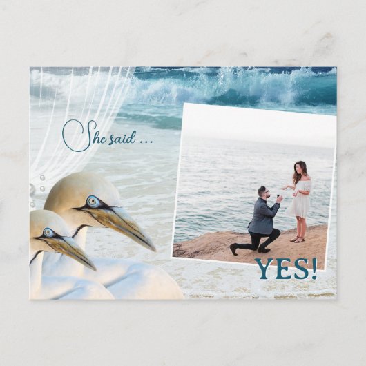 Gannet Beach QR Code Foto Save the Date Ankündigungspostkarte (Vorderseite)