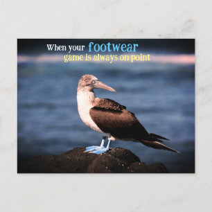 Gannet Feiertagspostkarte