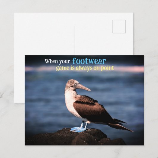 Gannet Feiertagspostkarte (Vorne/Hinten)