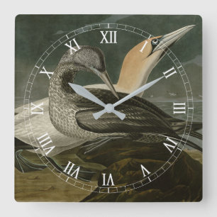 Gannet (Northern Gannet) Audubon Birds of America Quadratische Wanduhr