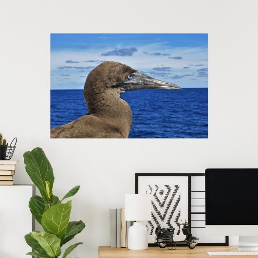 Gannet Portrait Poster (Heimbüro)