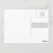 Gannet Postcard Postkarte (Rückseite)