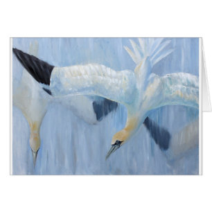 Gannets Tauchen einzigartige Geschenke für Sie