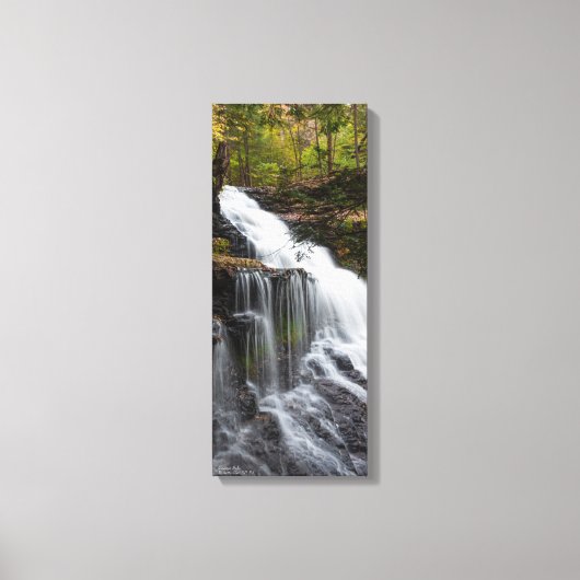 Ganoga Falls 10"x24"x.75" Leinwanddruck (Vorderseite)