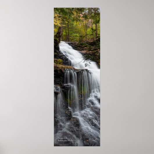 Ganoga Falls 12"x36" Poster (Vorne)