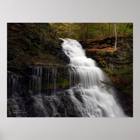 Ganoga Falls 24"x18" Poster (Vorne)