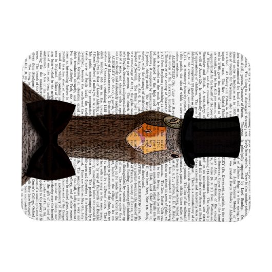 Gans 2 magnet (Horizontal)