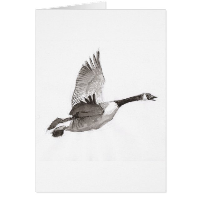 Gans beim Flugzeichnen (Vorne)