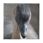 Gans Fliese (Vorderseite)