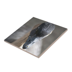 Gans Fliese