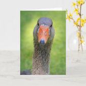 Gans in der Sonne Geburtstag Karte (Gelbe Blume)