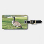 Gans in der Ufergegend, Tier-Tiere, Natur Gepäckanhänger (Vorderseite horizontal)