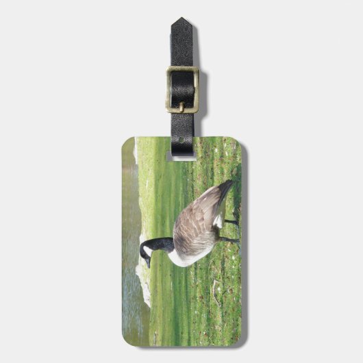 Gans in der Ufergegend, Tier-Tiere, Natur Gepäckanhänger (Vorderseite vertikal)