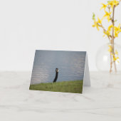 Gans Karte (Gelbe Blume)