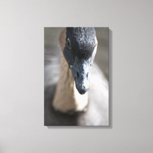 Gans Leinwanddruck