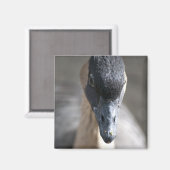Gans Magnet (Vorderseite/Rückseite)