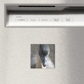Gans Magnet (In Situ (Geschirrspüler))