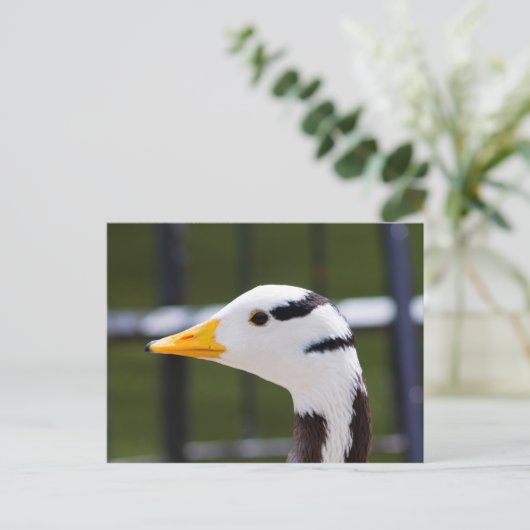 Gans mit Bar Postkarte (Stehend Vorderseite)