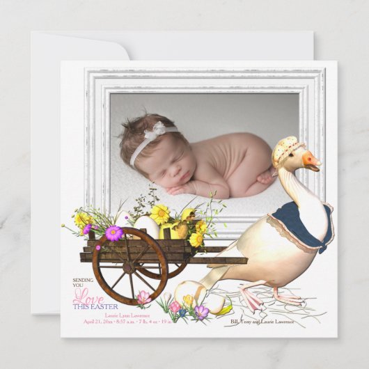 Gans mit Ei-Foto-Geburts-Mitteilung Einladung (Vorderseite)