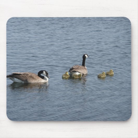 Gans Mousepad (Vorne)