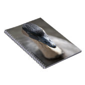 Gans Notizblock (Rechte Seite)