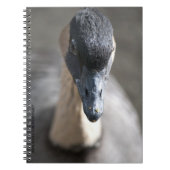 Gans Notizblock (Vorderseite)