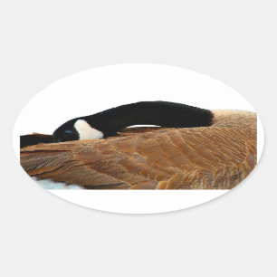 Gans-Oval-Aufkleber Ovaler Aufkleber