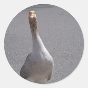 Gans! Runder Aufkleber