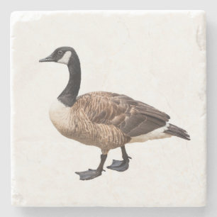 Gans Steinuntersetzer