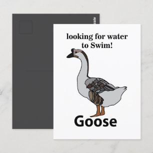 Gans sucht nach Wasser für schwimmende afrikanisch Postkarte