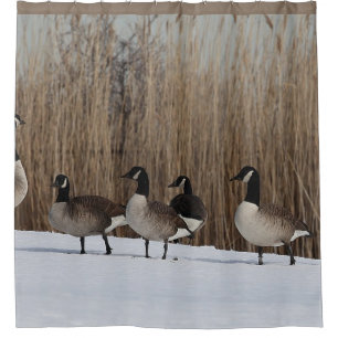 Gans-Wasservögel auf Duschvorhang