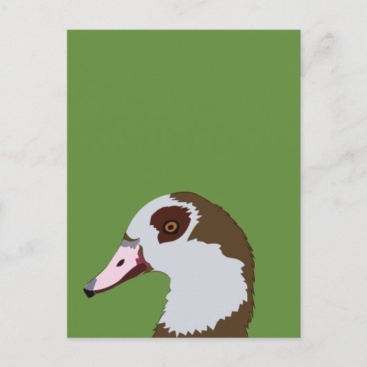 Gans Wasservögel Vogel Gans Postkarte (Vorderseite)