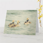 Gänschen Baby Gänse Große Karte (Gelbe Blume)
