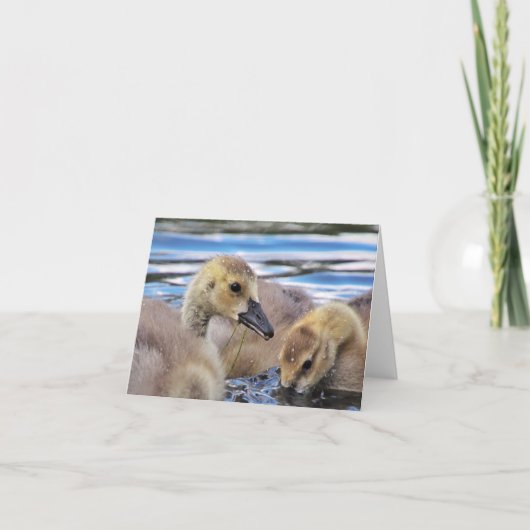 Gänschen-Mitteilungskarten Karte (Vorderseite)