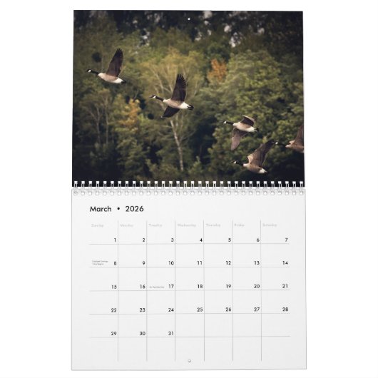 Gänse 2025 kalender (Mär 2026)