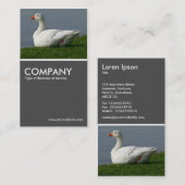 Gänse 70pc Gray Visitenkarte (Vorne/Hinten)