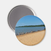 Gänse am Silver Lake, Wisconsin Magnet (Vorderseite/Rückseite)