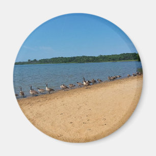 Gänse am Silver Lake, Wisconsin Magnet