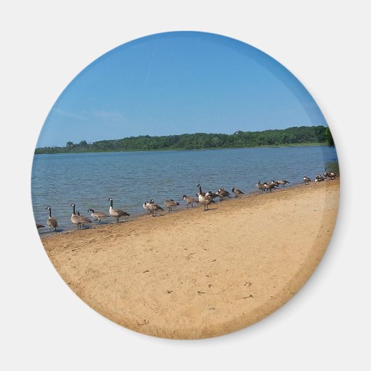 Gänse am Silver Lake, Wisconsin Magnet (Vorne)