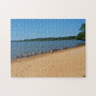 Gänse am Silver Lake, Wisconsin Puzzle