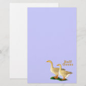 Gänse: American Buffs Briefpapier (Vorne/Hinten)