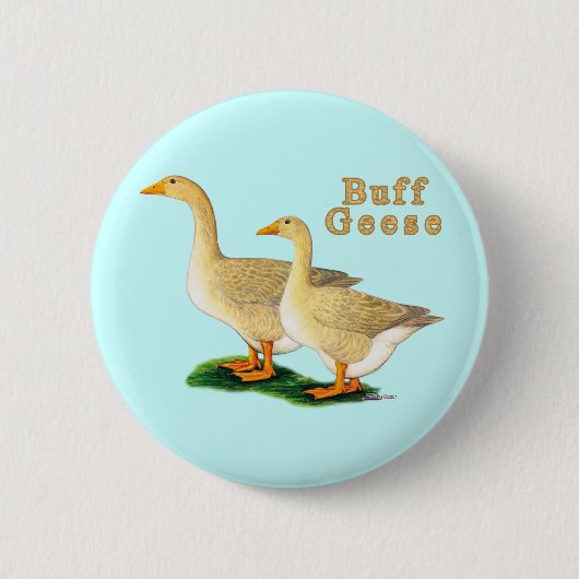 Gänse: American Buffs Button (Vorderseite)