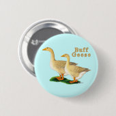 Gänse: American Buffs Button (Vorne & Hinten)